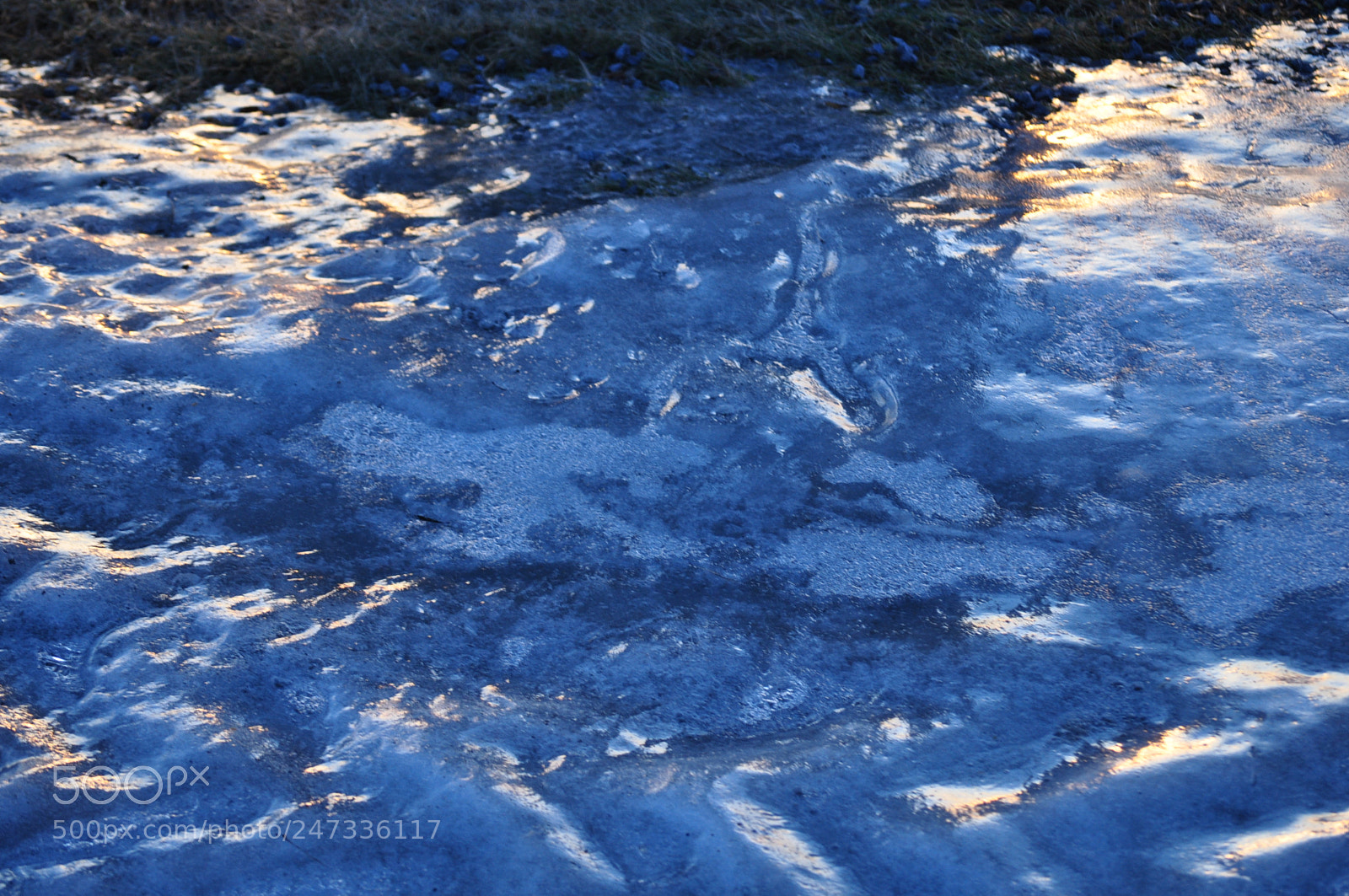 Nikon D5000 sample photo. Icy ripples photography
