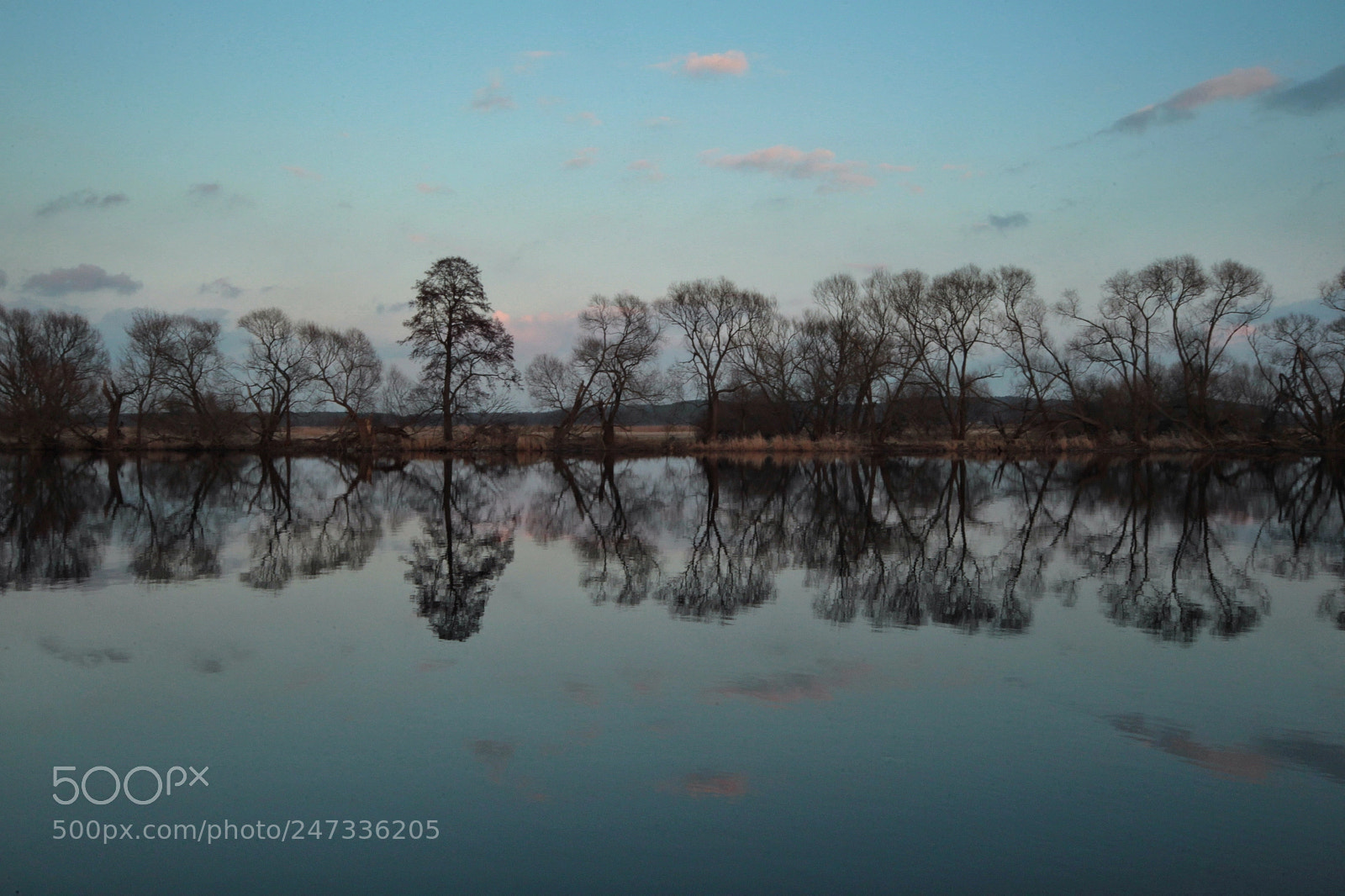 Canon EOS-1D Mark IV sample photo. Untitled photography