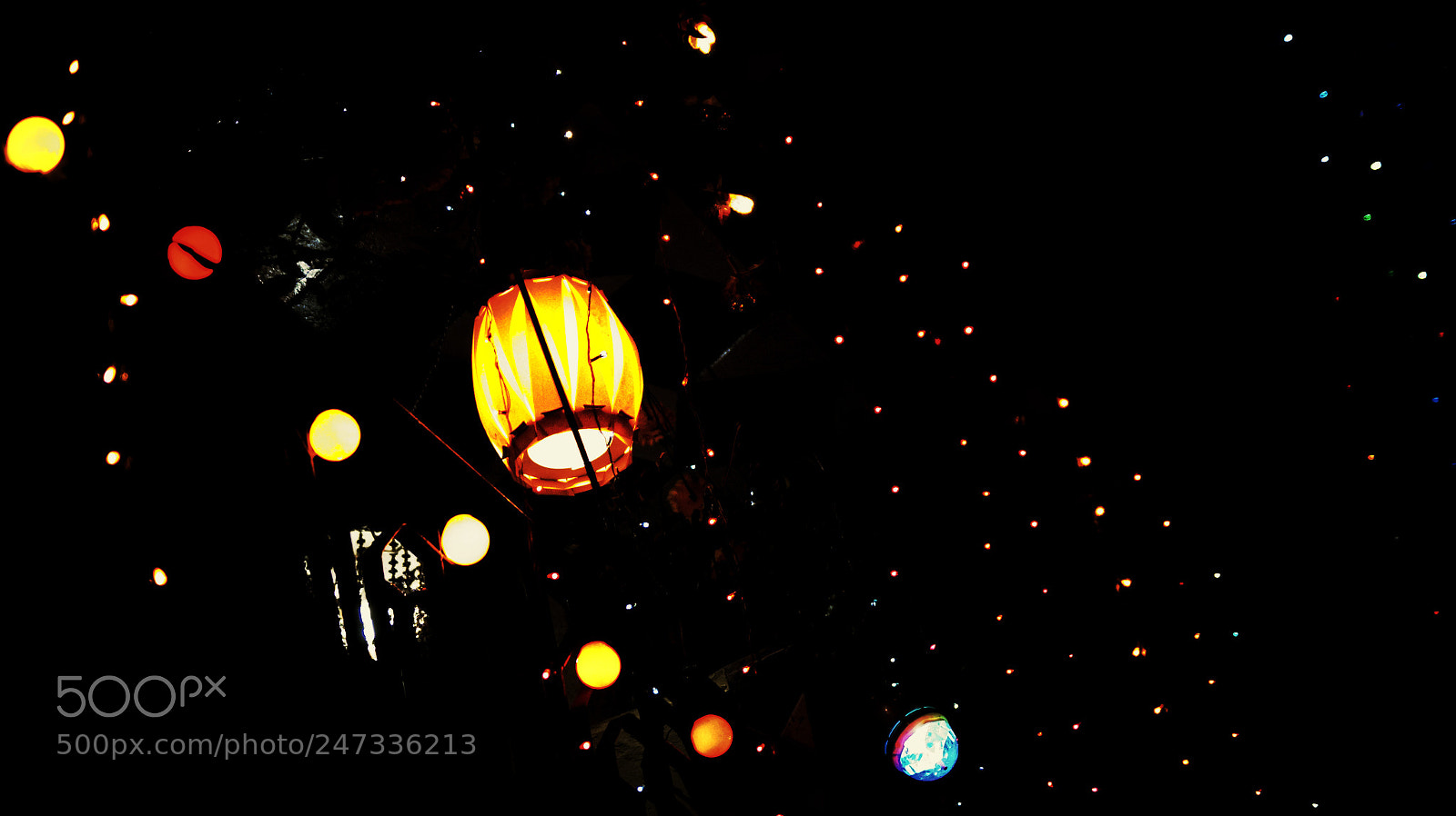 Sony SLT-A58 sample photo. Untitled photography