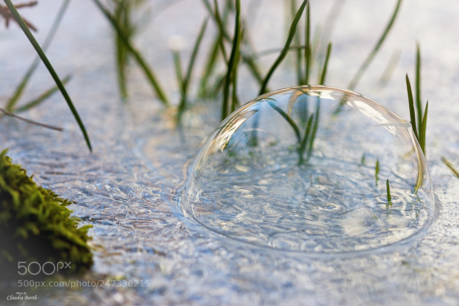 Canon EOS 700D (EOS Rebel T5i / EOS Kiss X7i) sample photo. Seifenblase auf eis... photography