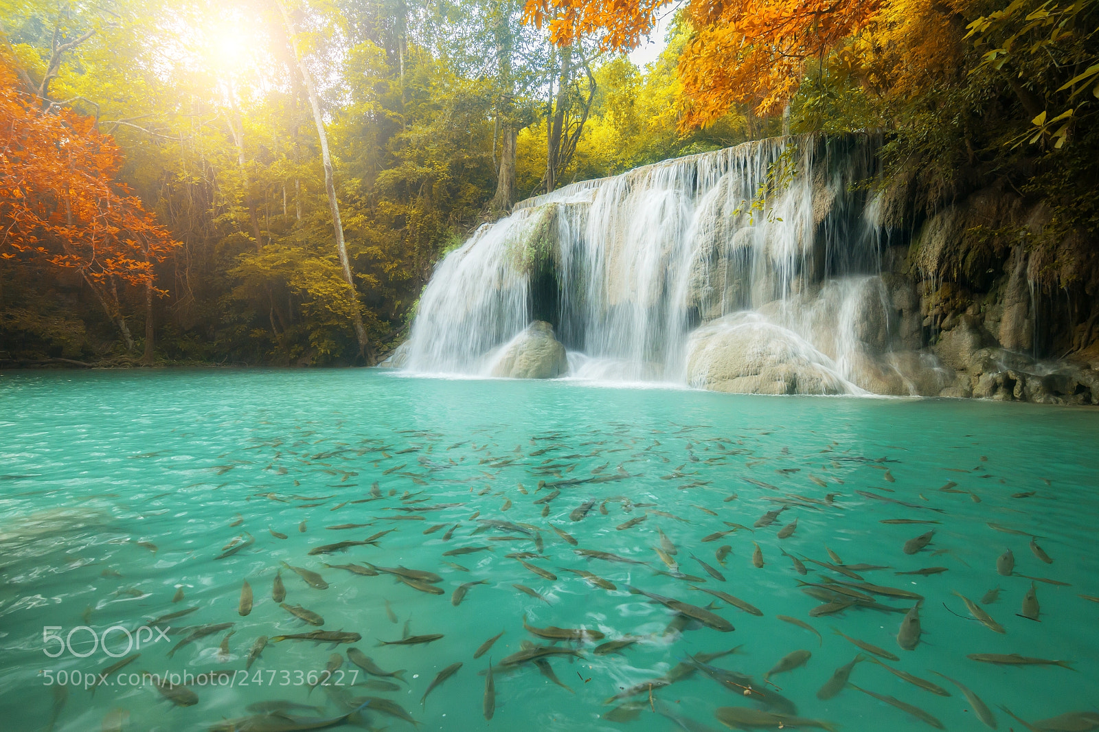Nikon D800 sample photo. Erawan waterfall, beautiful waterfall photography