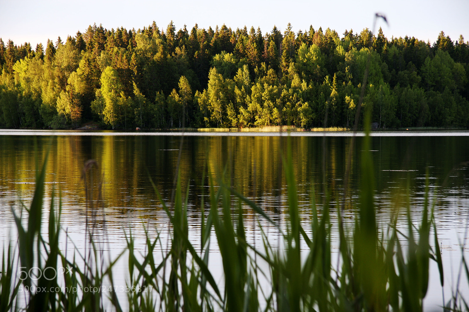 Canon EOS 40D sample photo. а photography
