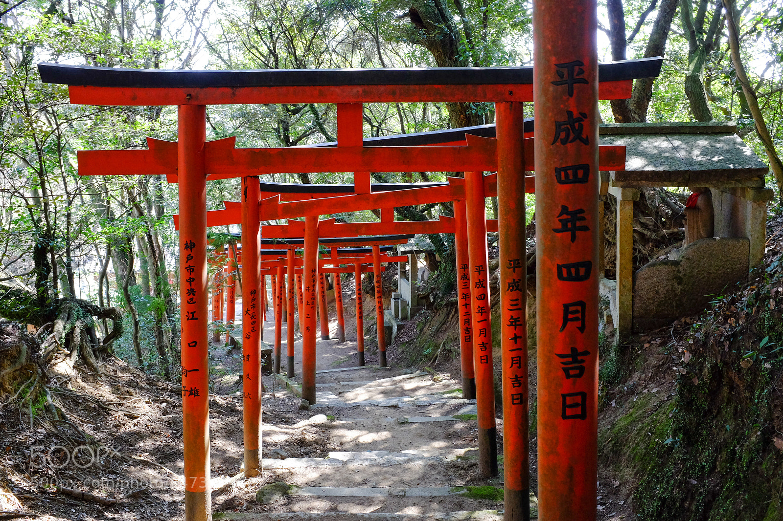 Fujifilm X100S sample photo. Path of torii photography