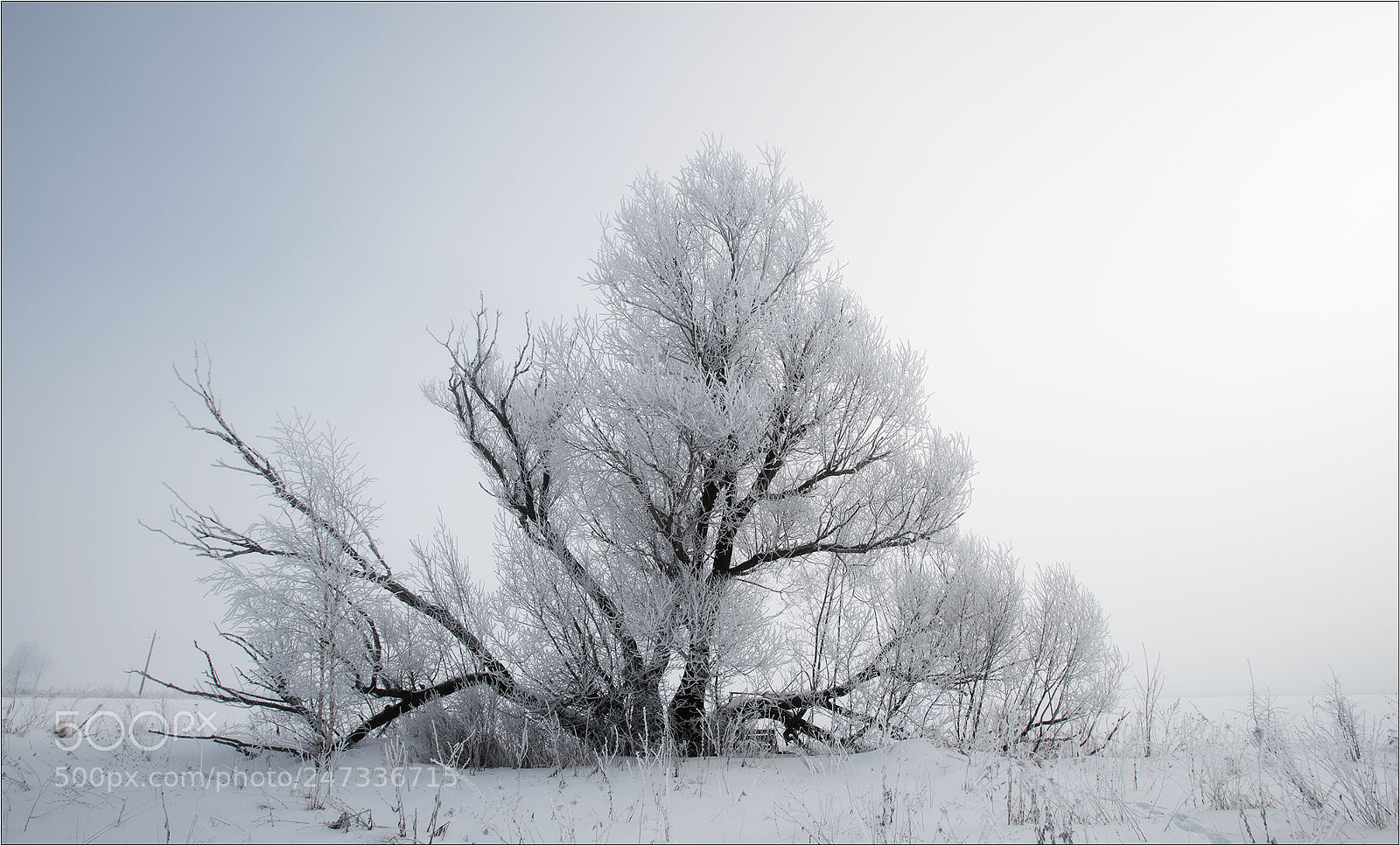 Nikon D850 sample photo. Ryazan photography
