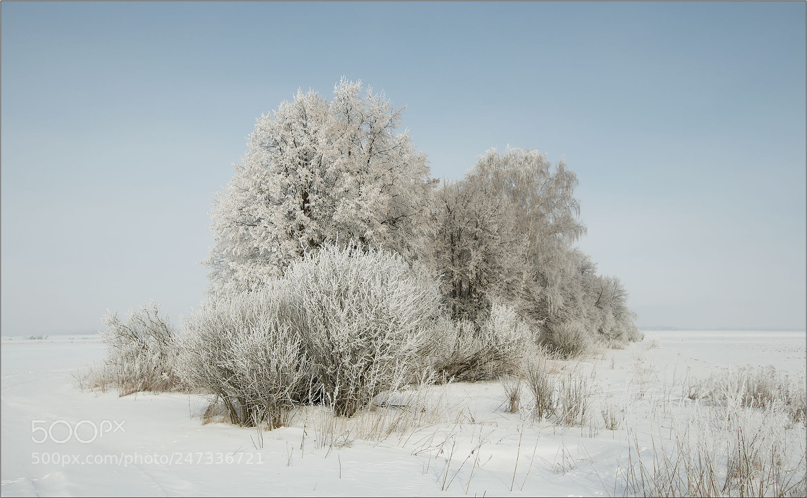 Nikon D850 sample photo. Ryazan photography