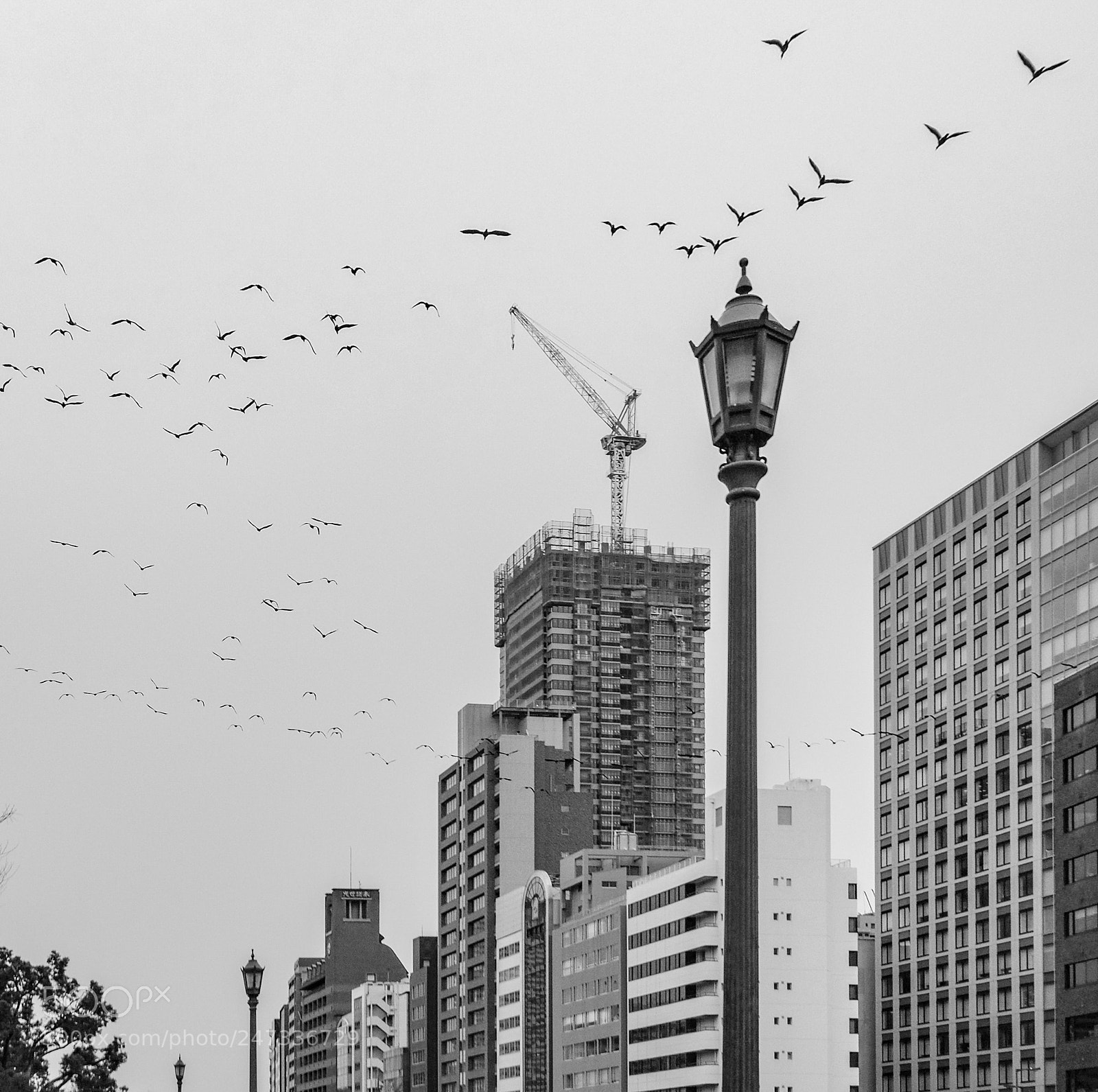 Fujifilm X-E3 sample photo. Untitled photography