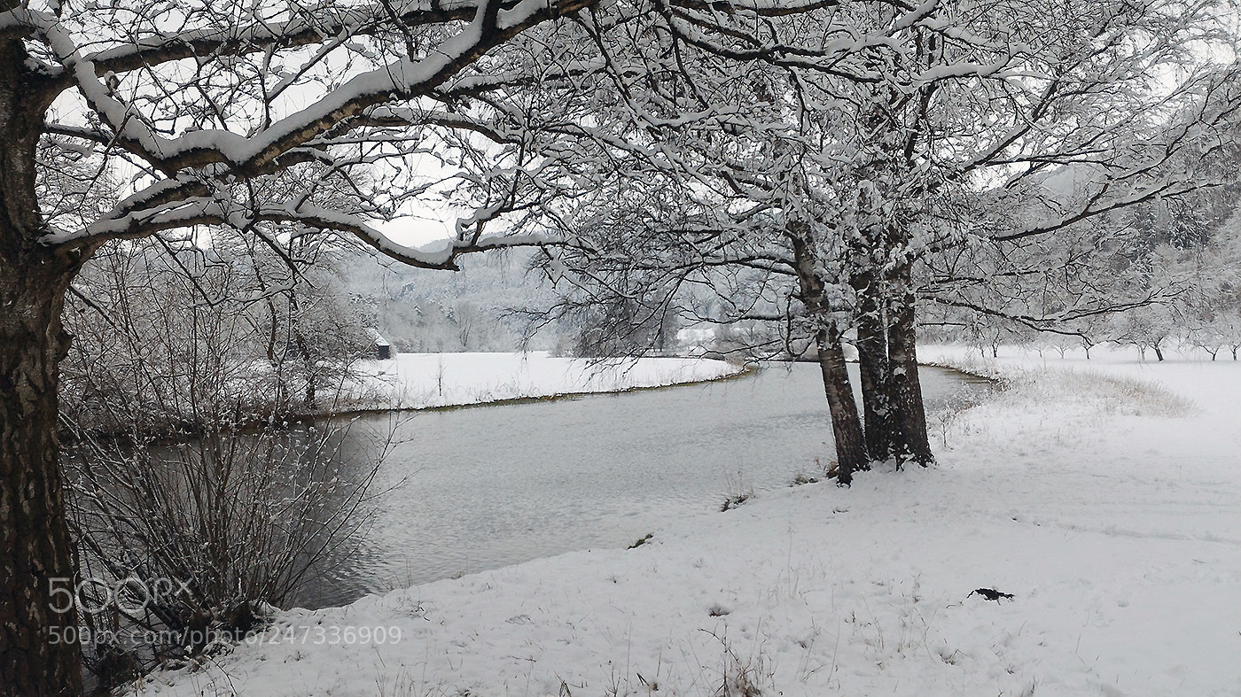 ASUS ZenFone 2 (ZE551ML) sample photo. ... by the river photography