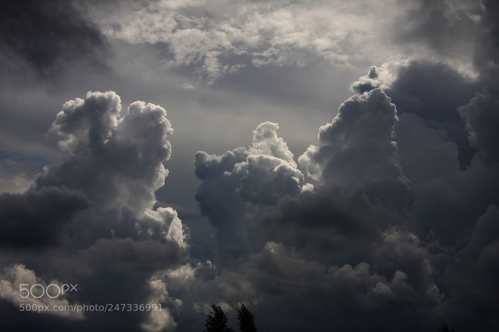 Canon EOS 40D sample photo. а photography