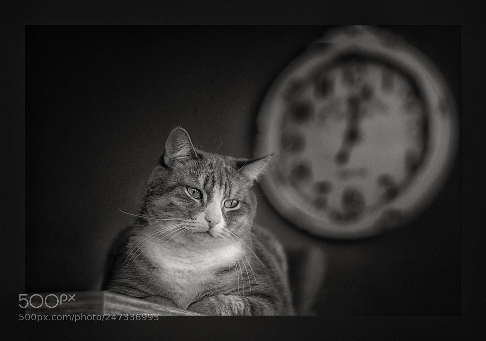 Canon EOS 700D (EOS Rebel T5i / EOS Kiss X7i) sample photo. Watching time slip away ... photography