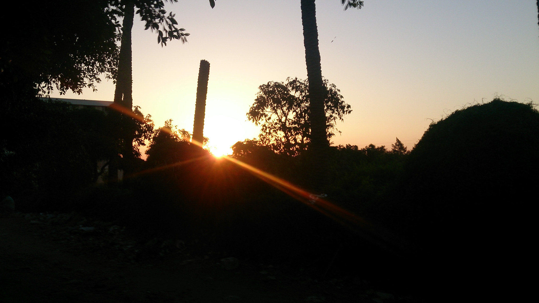 Sony Xperia ZR sample photo