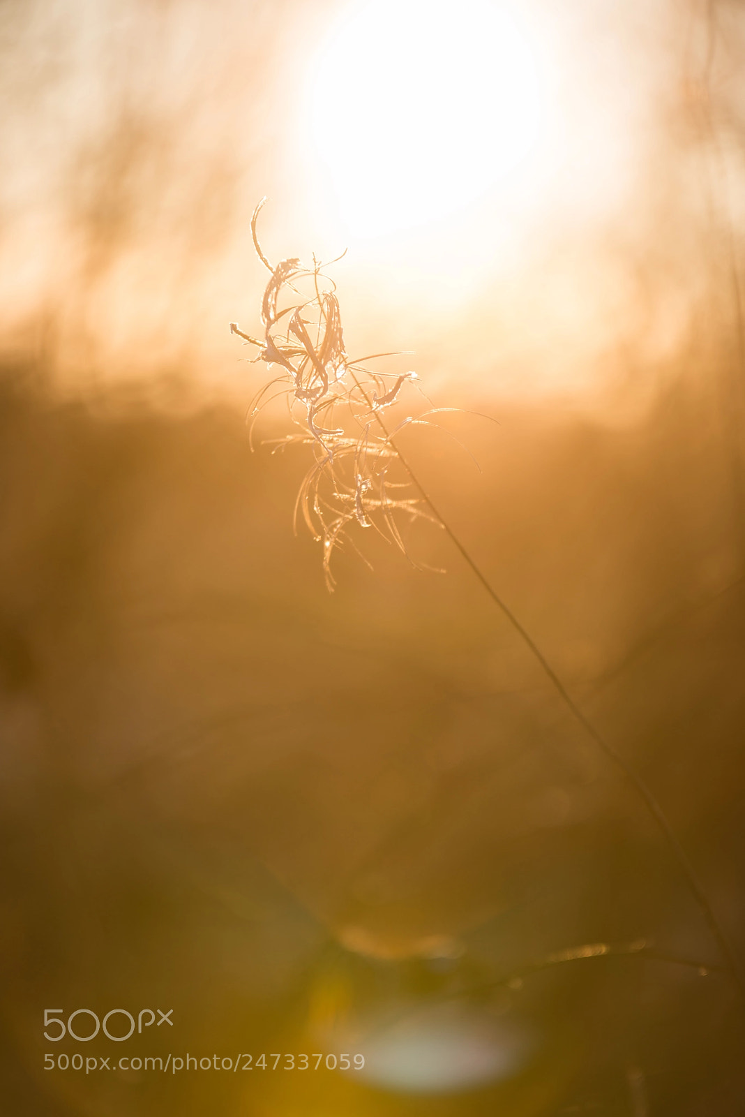 Nikon D800 sample photo. Just be in that photography