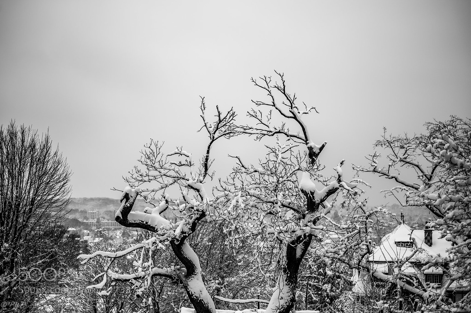 Fujifilm X-M1 sample photo. Snowtime is over photography