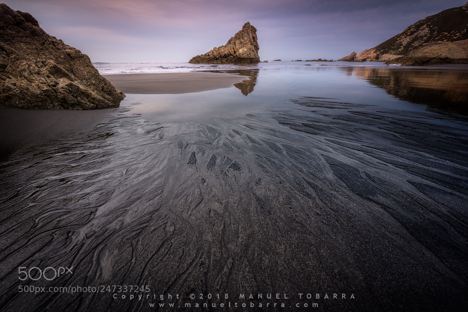 Nikon D810 sample photo. Playón de bayas photography
