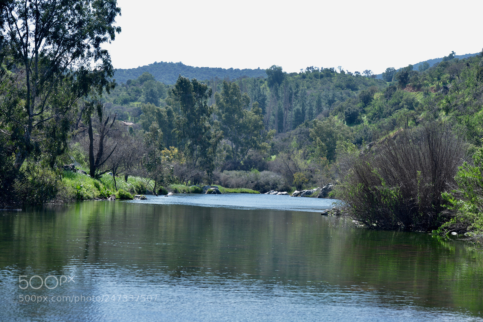 Nikon D800 sample photo. Valle curacavi photography
