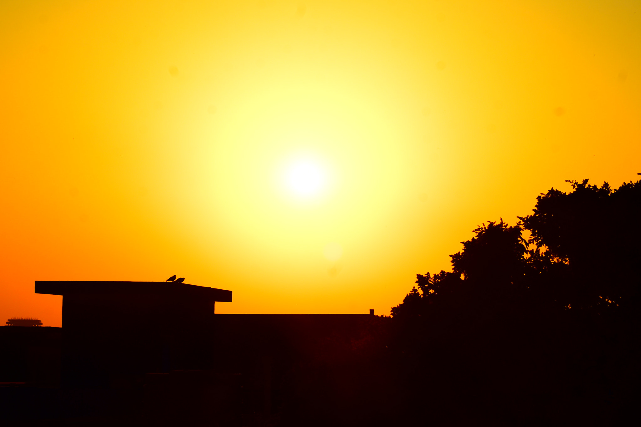 Nikon AF Nikkor 70-300mm F4-5.6G sample photo