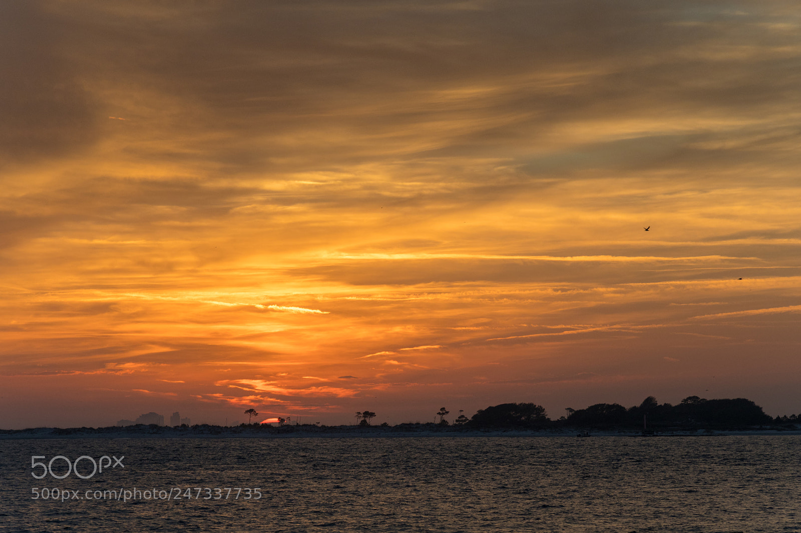 Nikon D500 sample photo. Fort pickens sunset photography