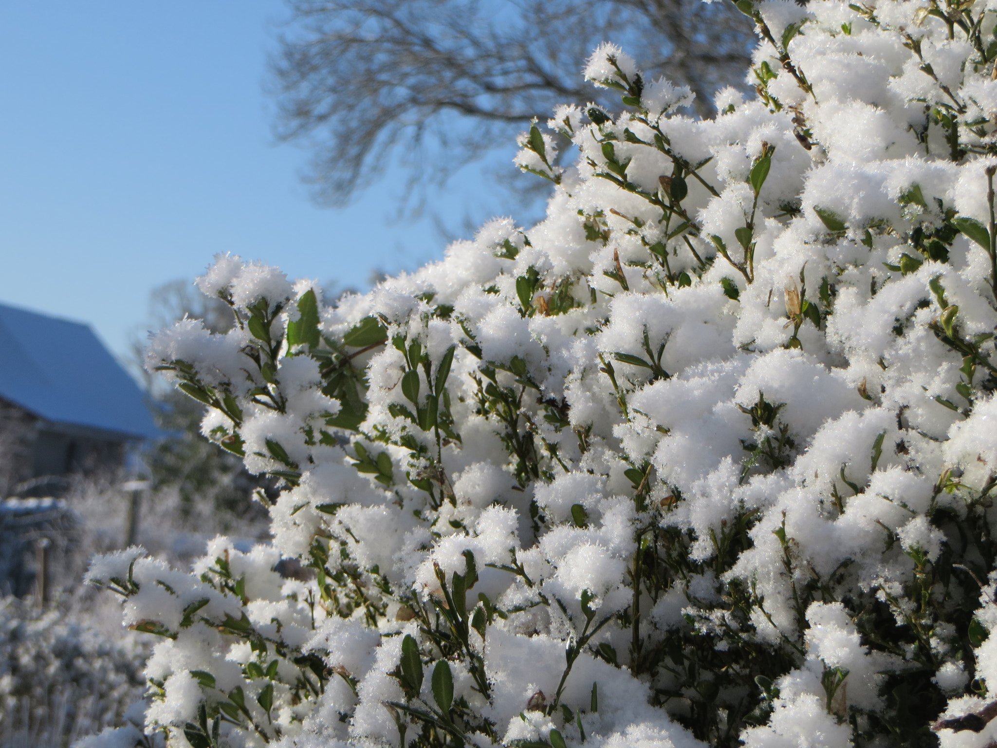 Canon PowerShot SX280 HS sample photo. After the snow photography