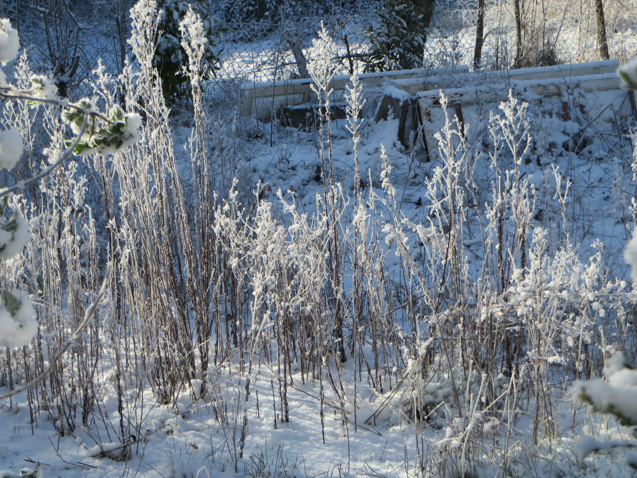 Canon PowerShot SX280 HS sample photo. After the snow photography