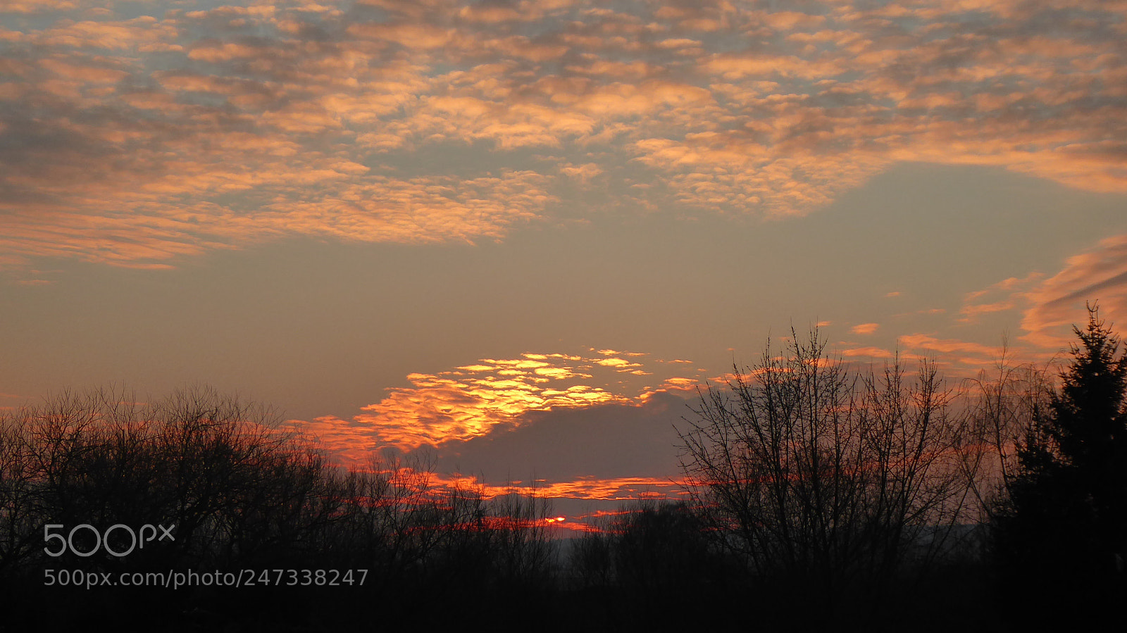 Panasonic DMC-TZ71 sample photo. Das letzte sonnenlicht hinter photography