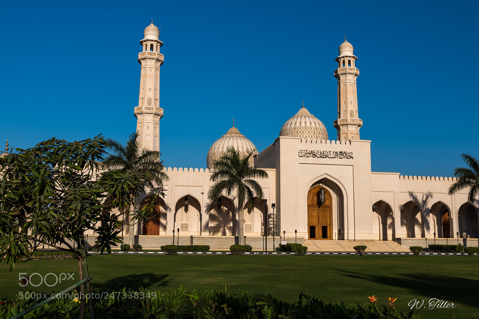 Nikon D810 sample photo. Salalah - sultan qaboos photography