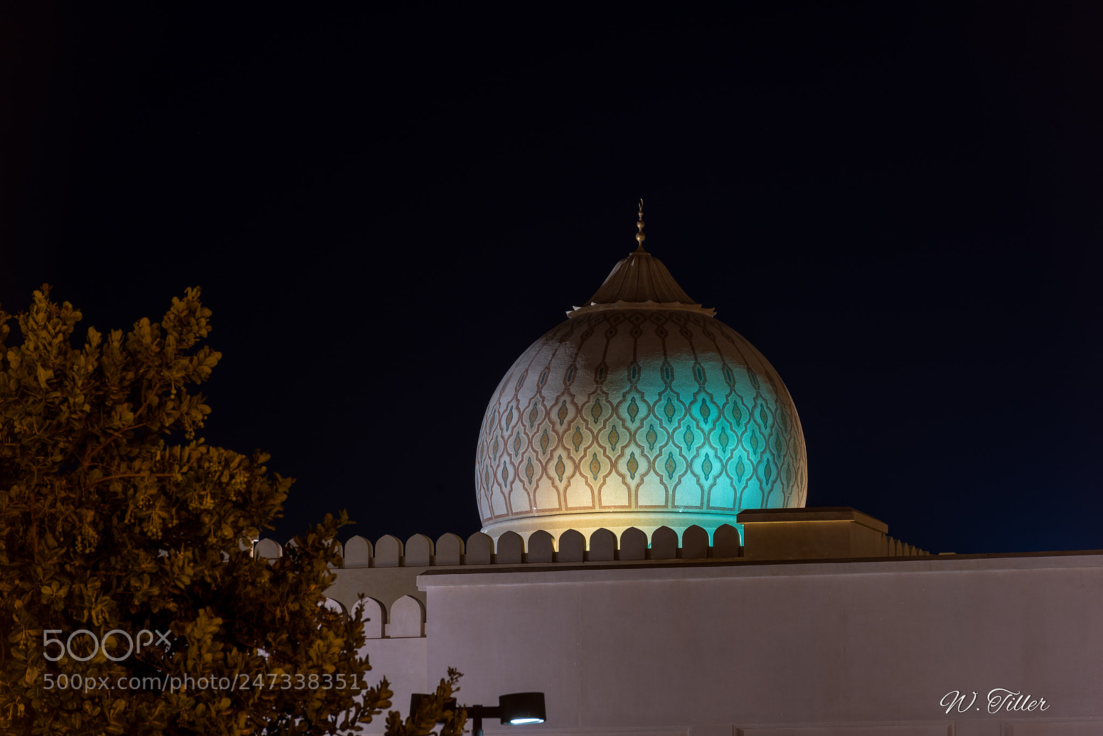 Nikon D810 sample photo. Salalah - sultan qaboos photography