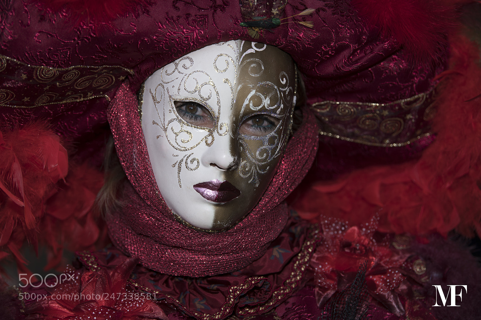 Nikon D850 sample photo. Venice carnival 2018 c photography