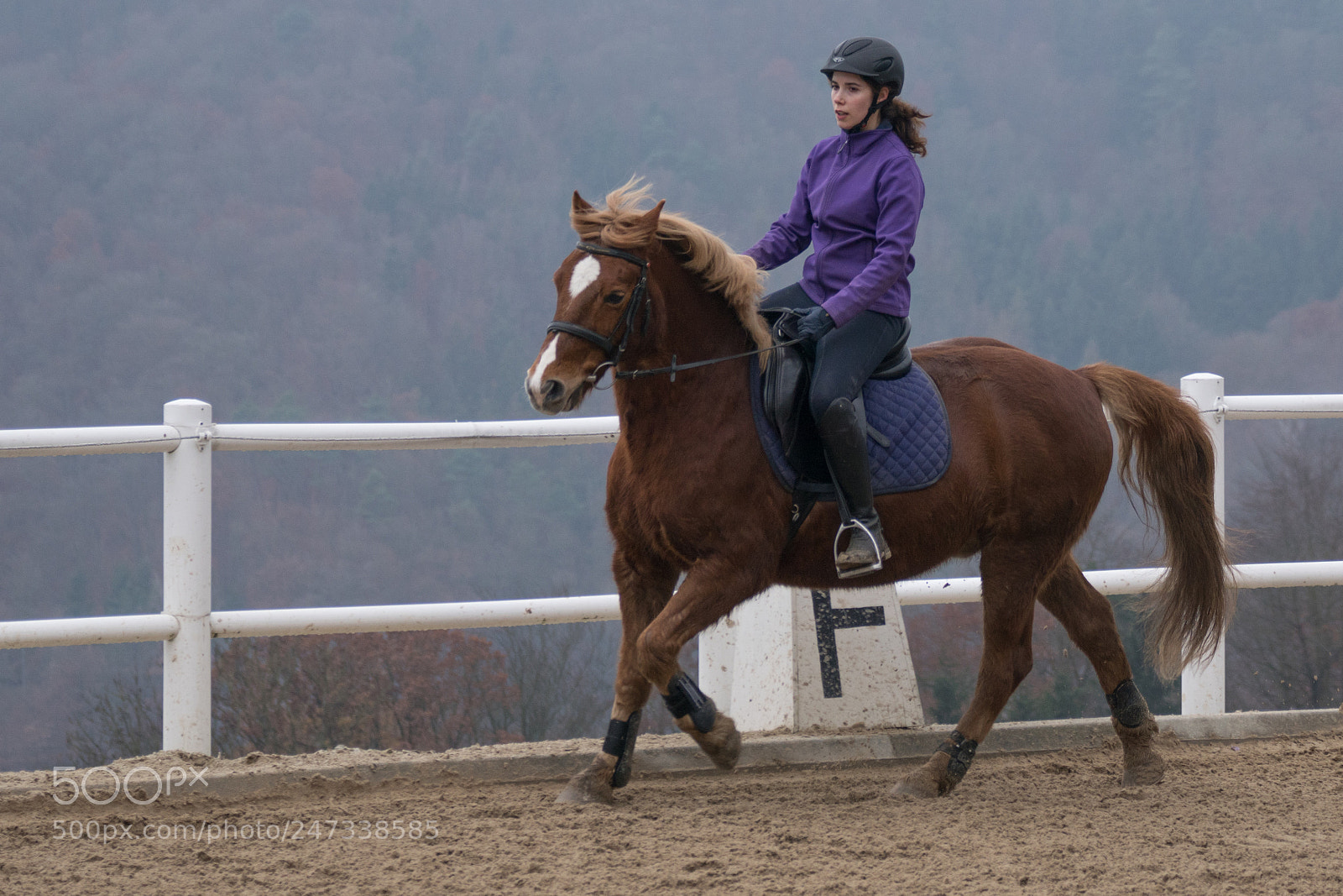 Sony ILCA-77M2 sample photo. Riding 2 photography