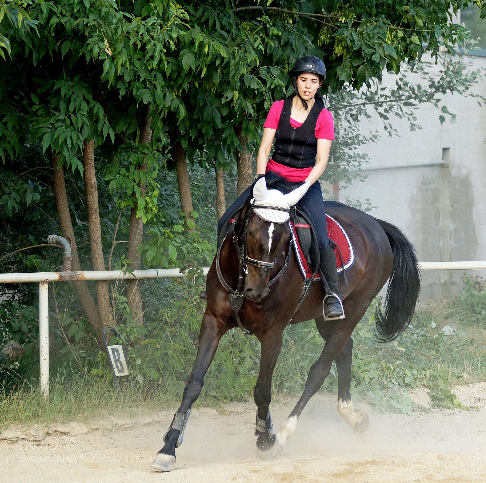 Sony SLT-A77 sample photo. Riding 5 photography