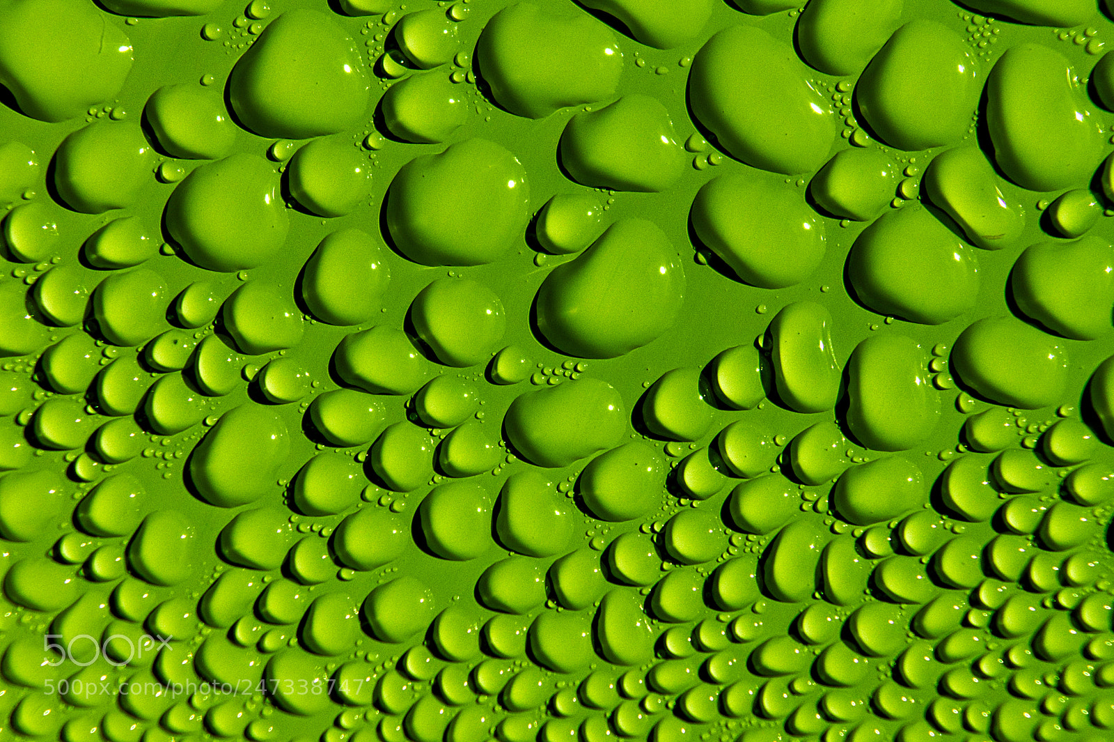 Canon EOS 550D (EOS Rebel T2i / EOS Kiss X4) sample photo. Green waterdrops photography