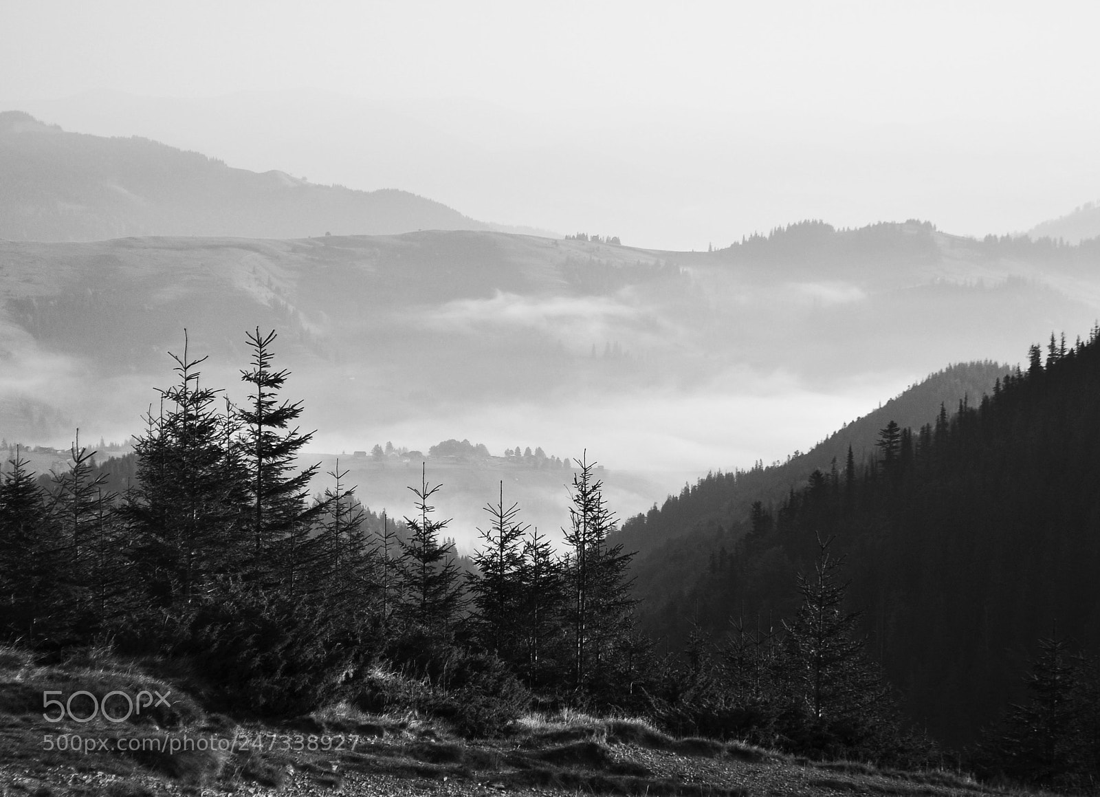 Nikon D5000 sample photo. Carpathian morning photography
