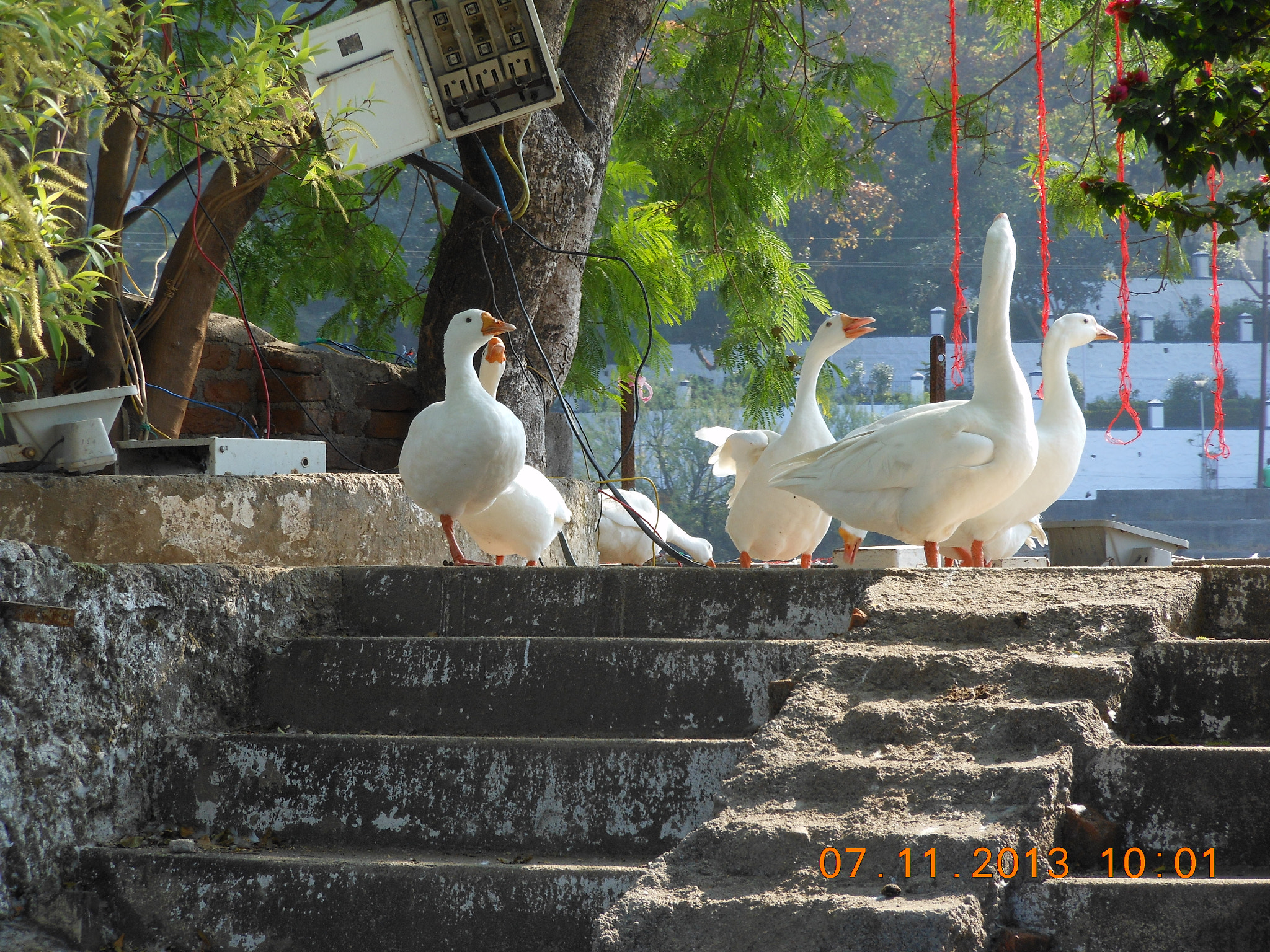 Nikon COOLPIX S6150 sample photo. Love can. photography