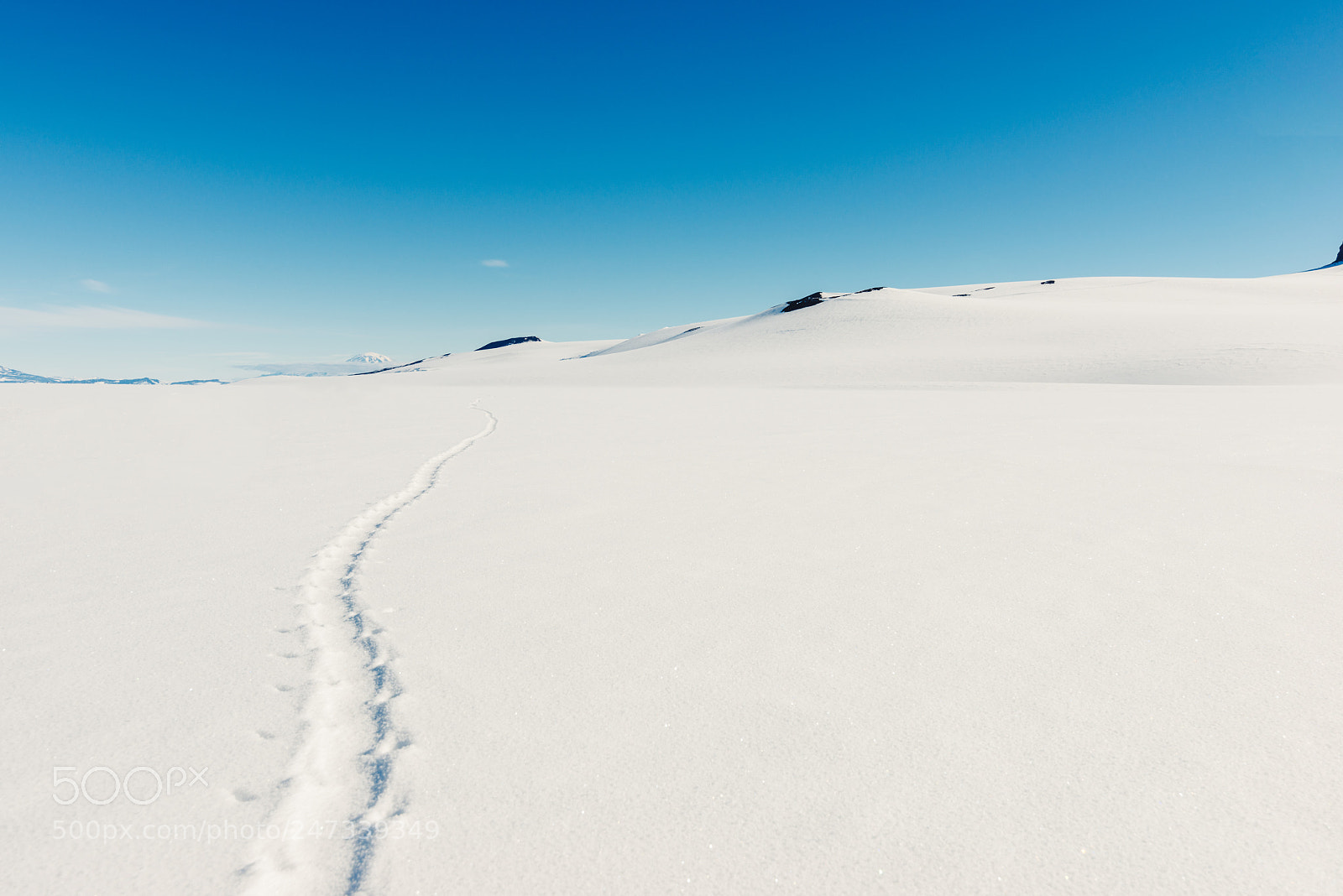 Nikon D800 sample photo. Penguin tracks photography