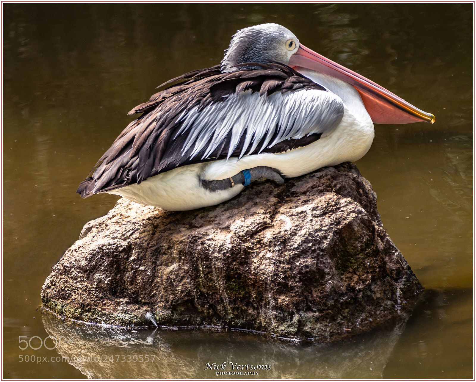Nikon D7200 sample photo. An island of my photography