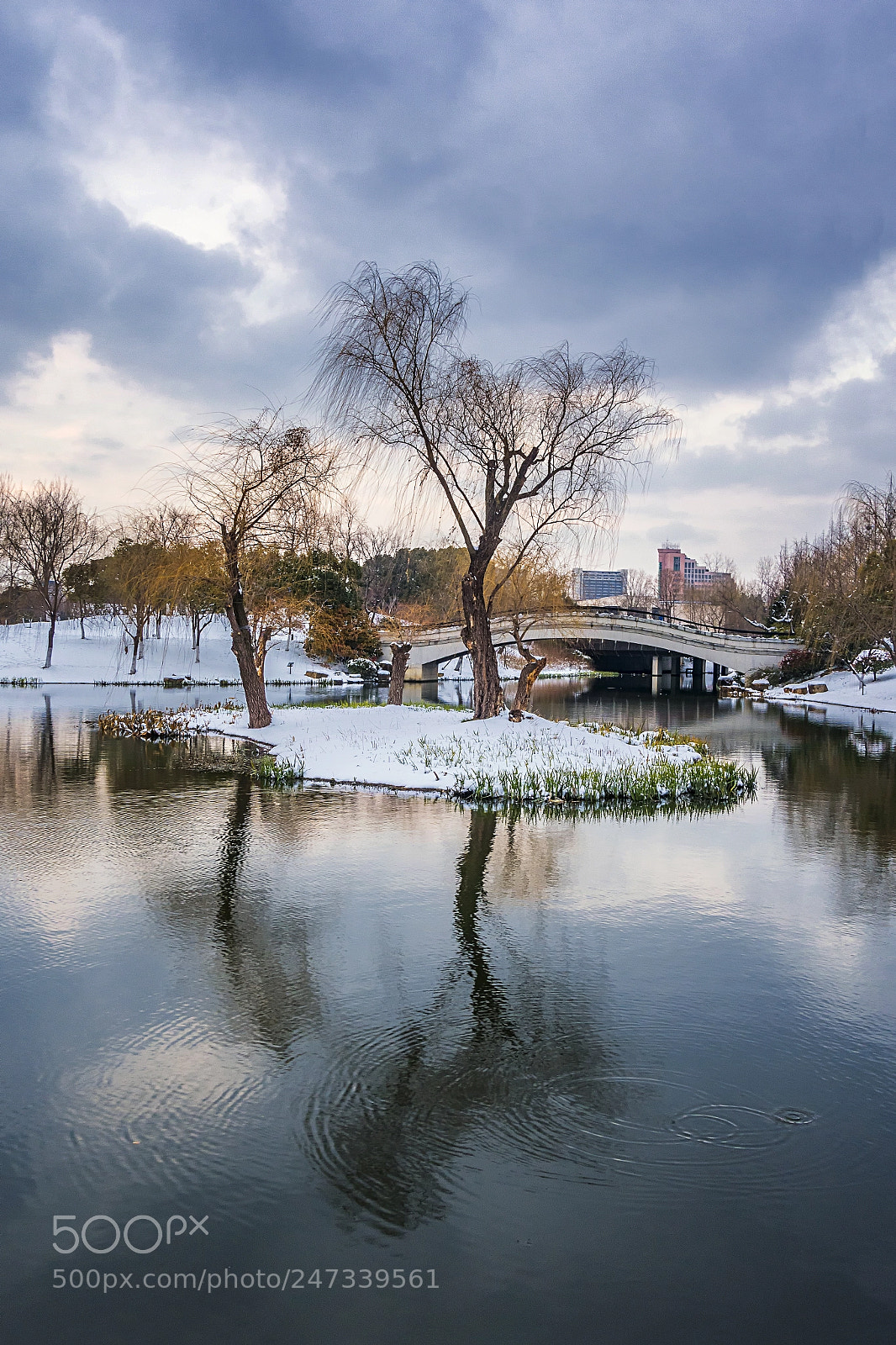 Sony Cyber-shot DSC-RX100 III sample photo. Winter small scene photography