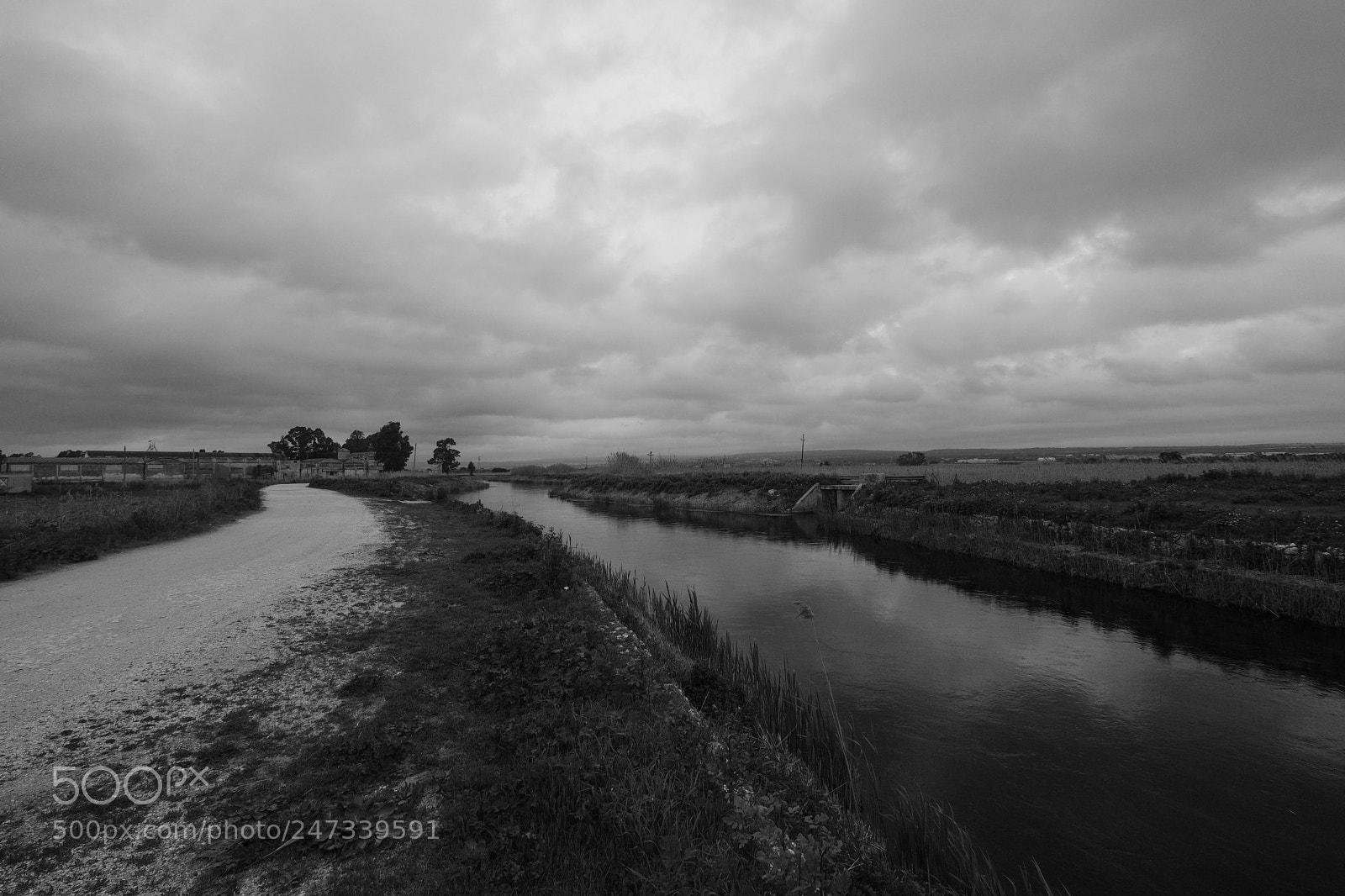 Fujifilm X-T2 sample photo. Untitled photography