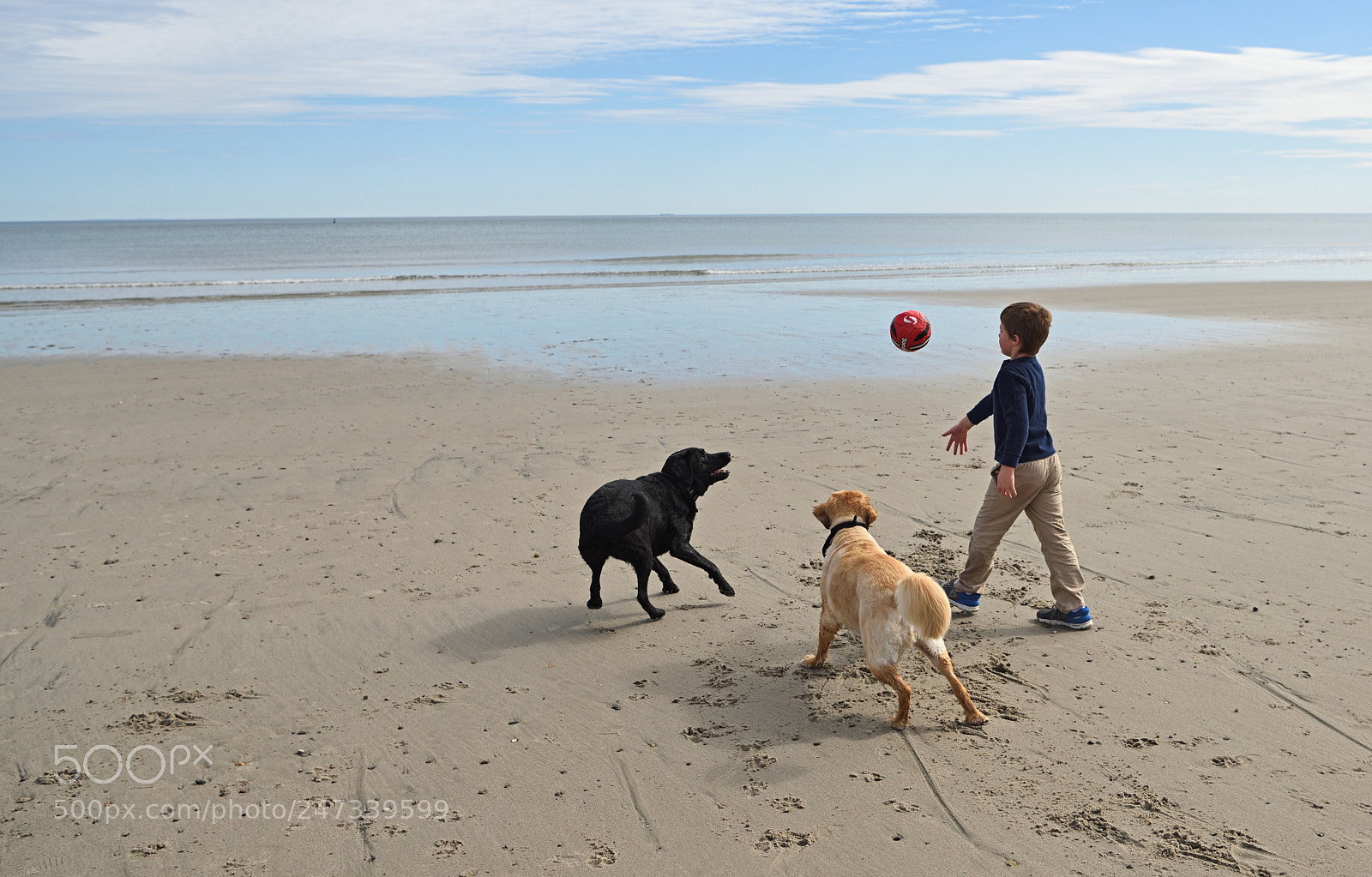 Nikon D810 sample photo. February day at the photography