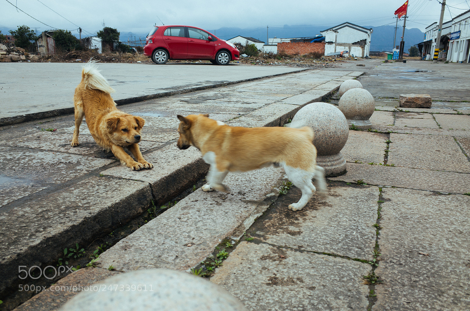 Ricoh GR sample photo. Untitled photography