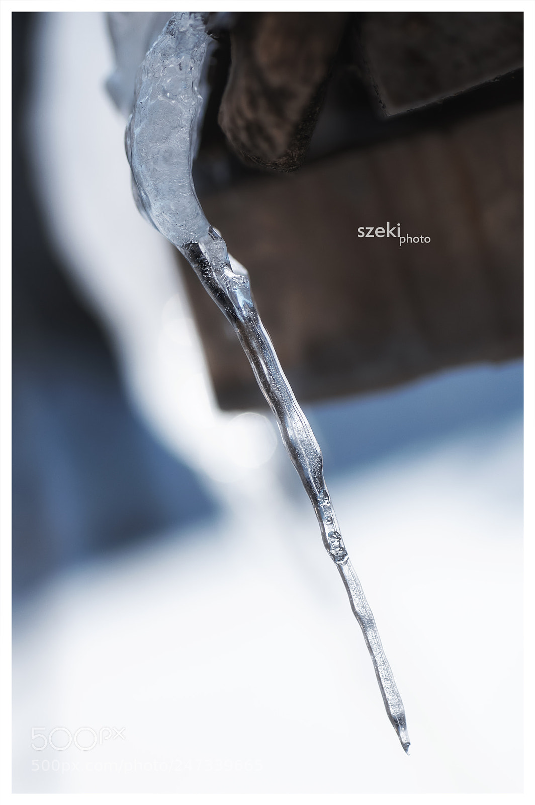 Pentax K-3 II sample photo. Dagger photography