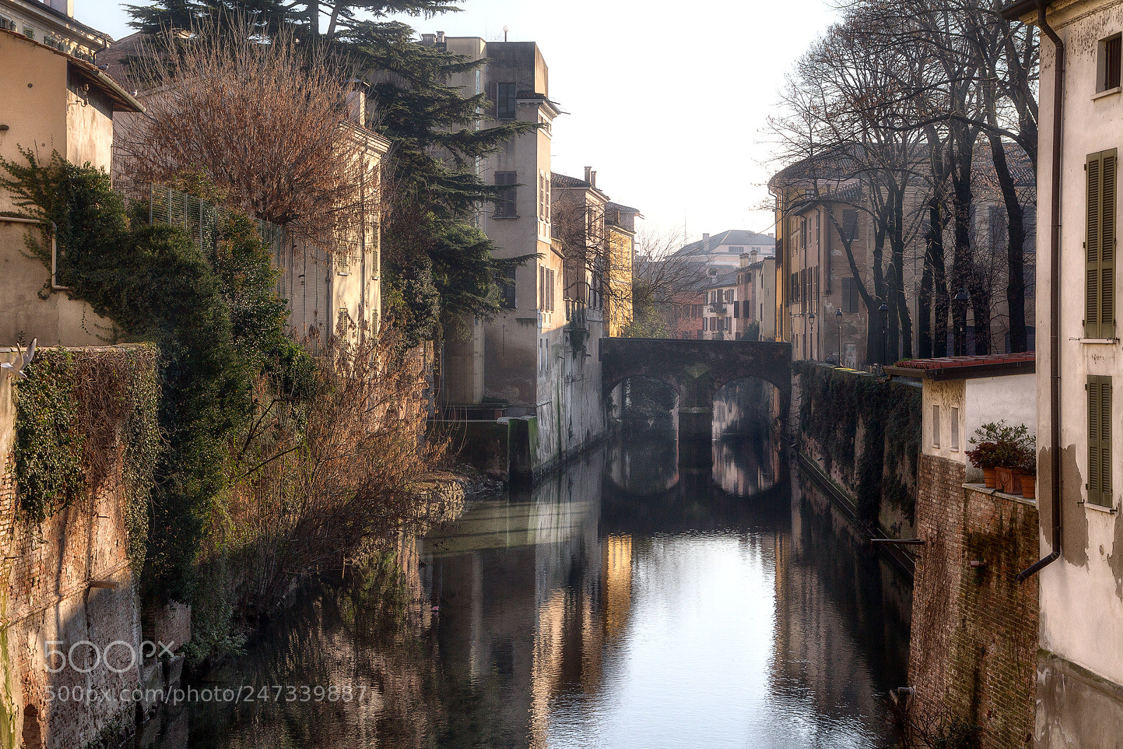 Canon EOS 7D sample photo. Mantova photography