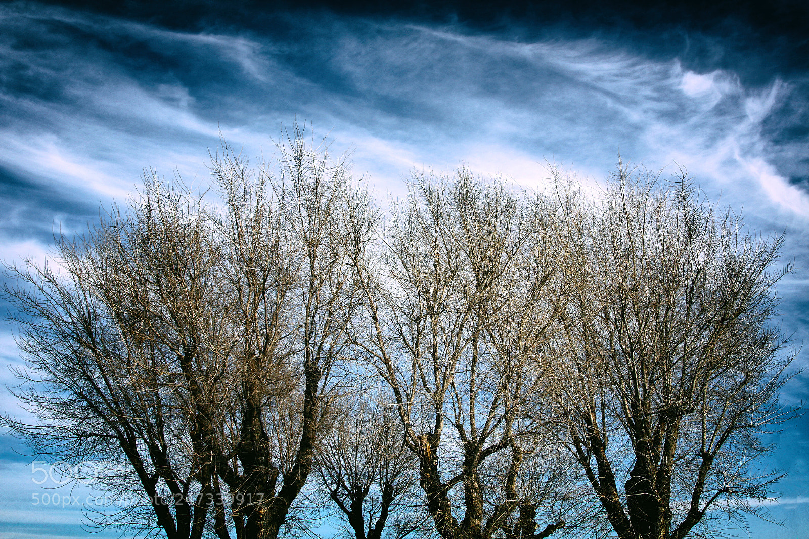 Canon EOS 50D sample photo. Blue photography