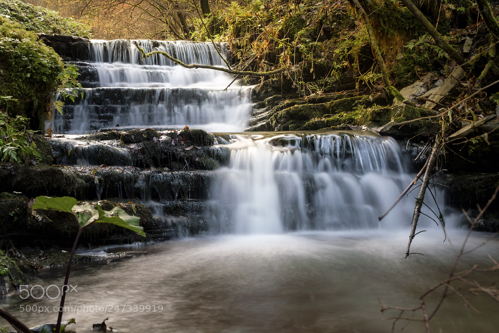 Fujifilm X-M1 sample photo. Val frenzela photography