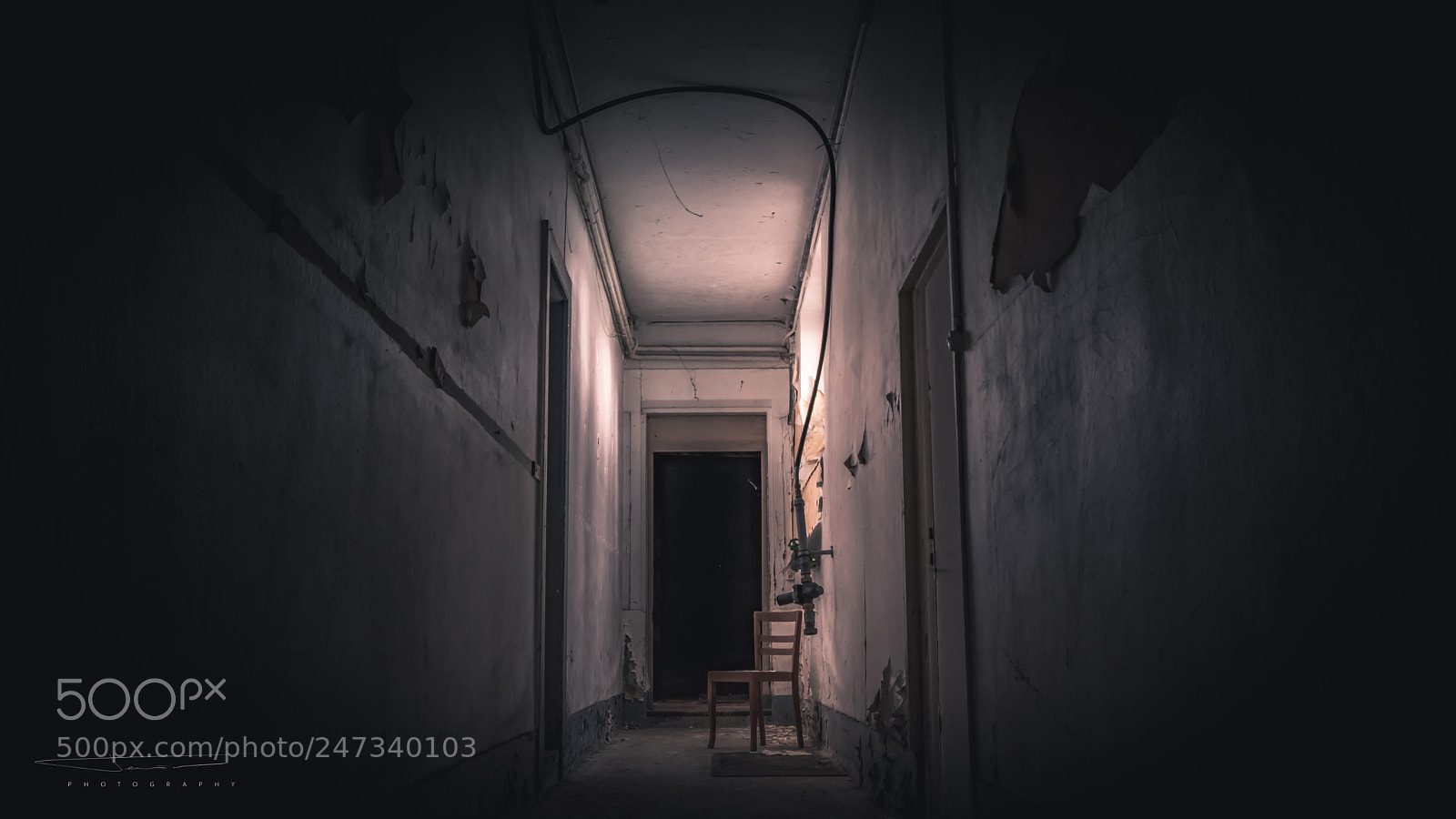 Nikon D7100 sample photo. Alone. photography