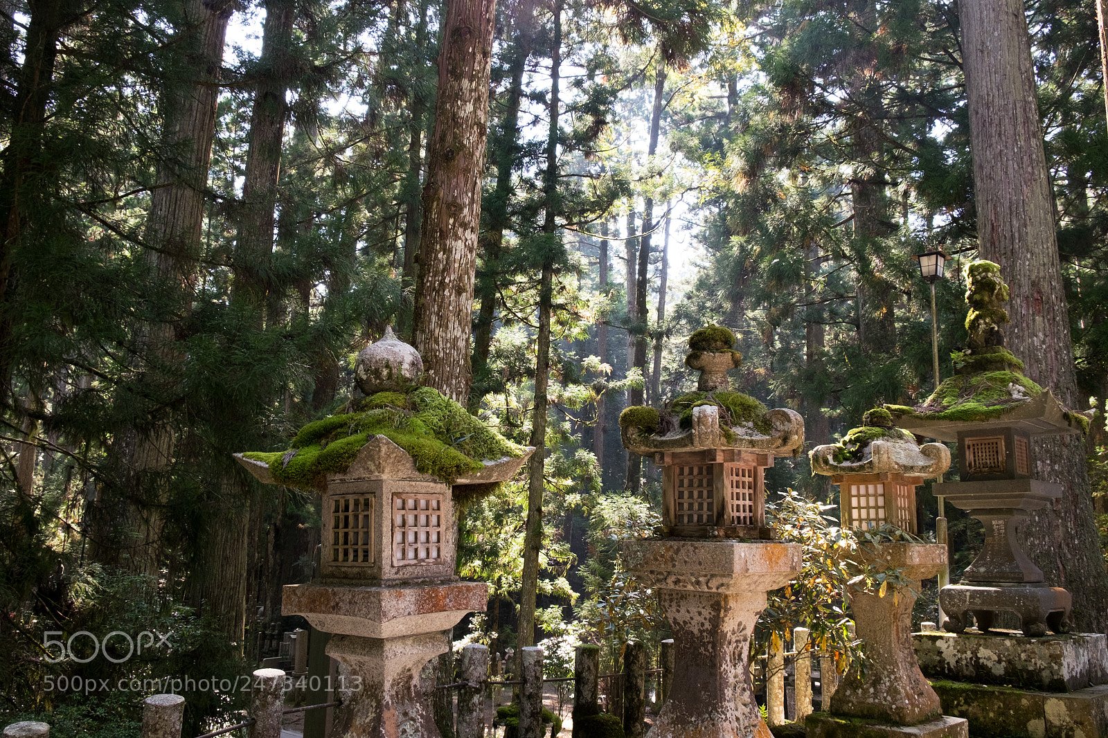 Fujifilm X-T1 sample photo. 1904 photography
