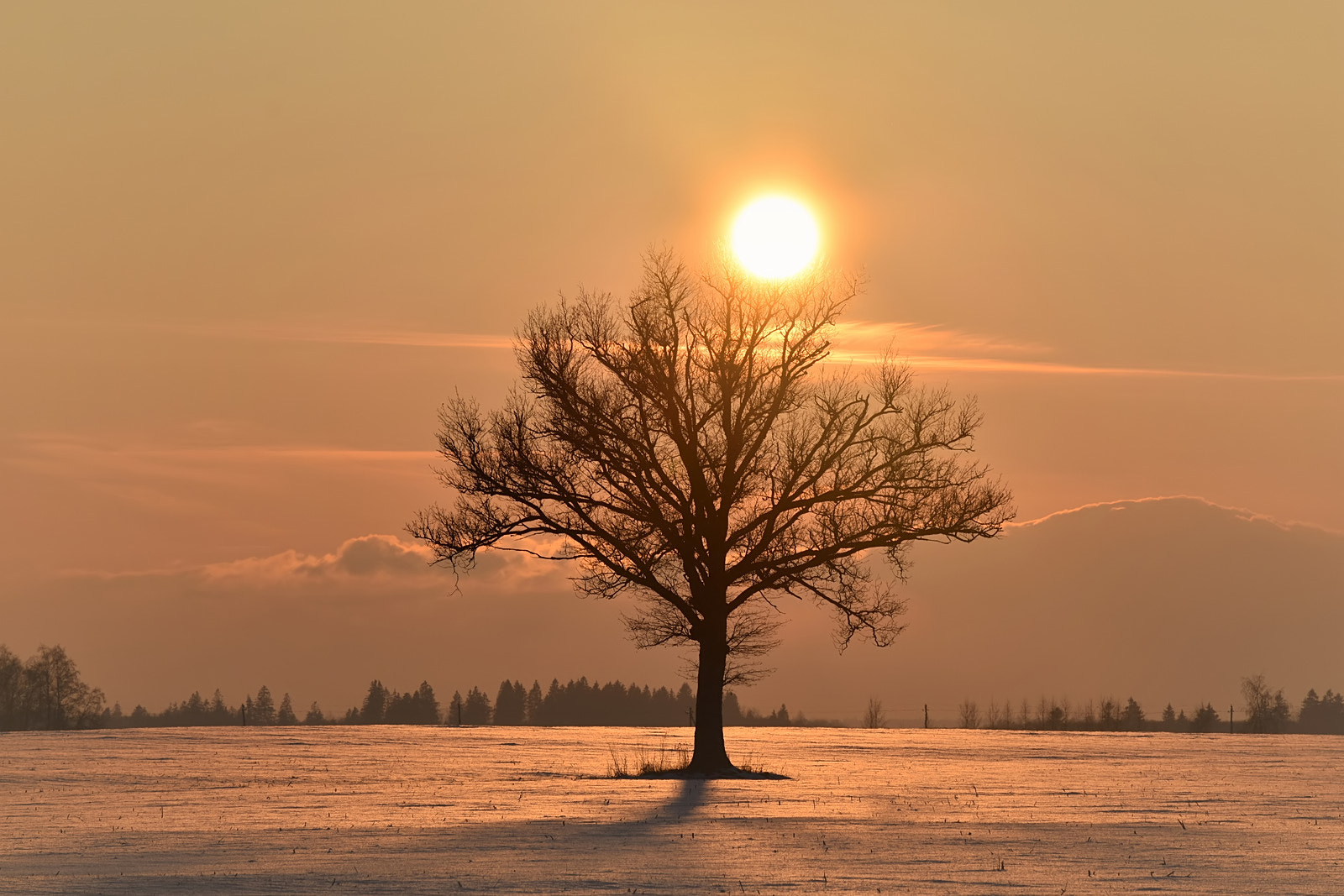 Nikon D3400 sample photo. Evening photography