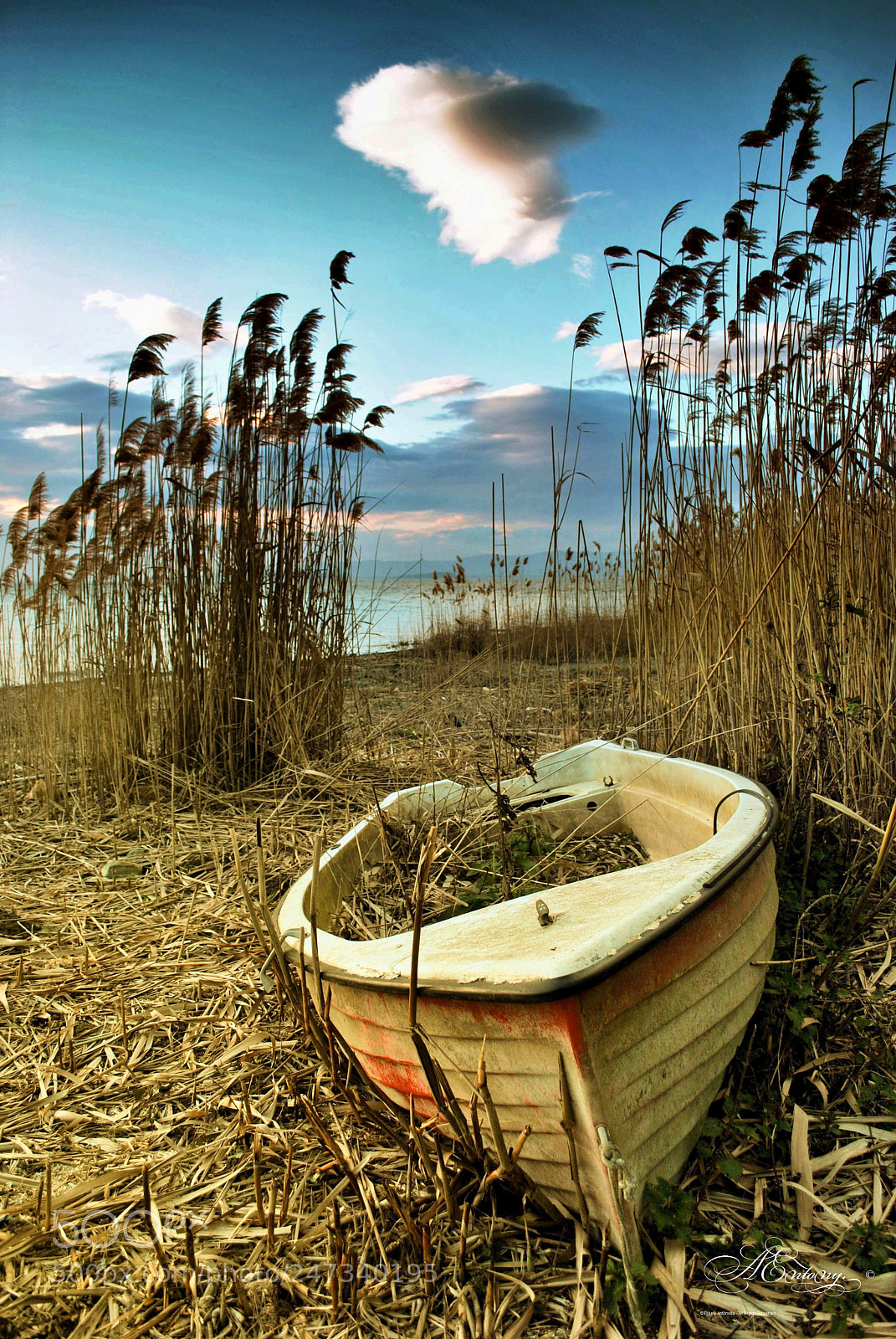 Nikon D3000 sample photo. Cerco un attimo che photography