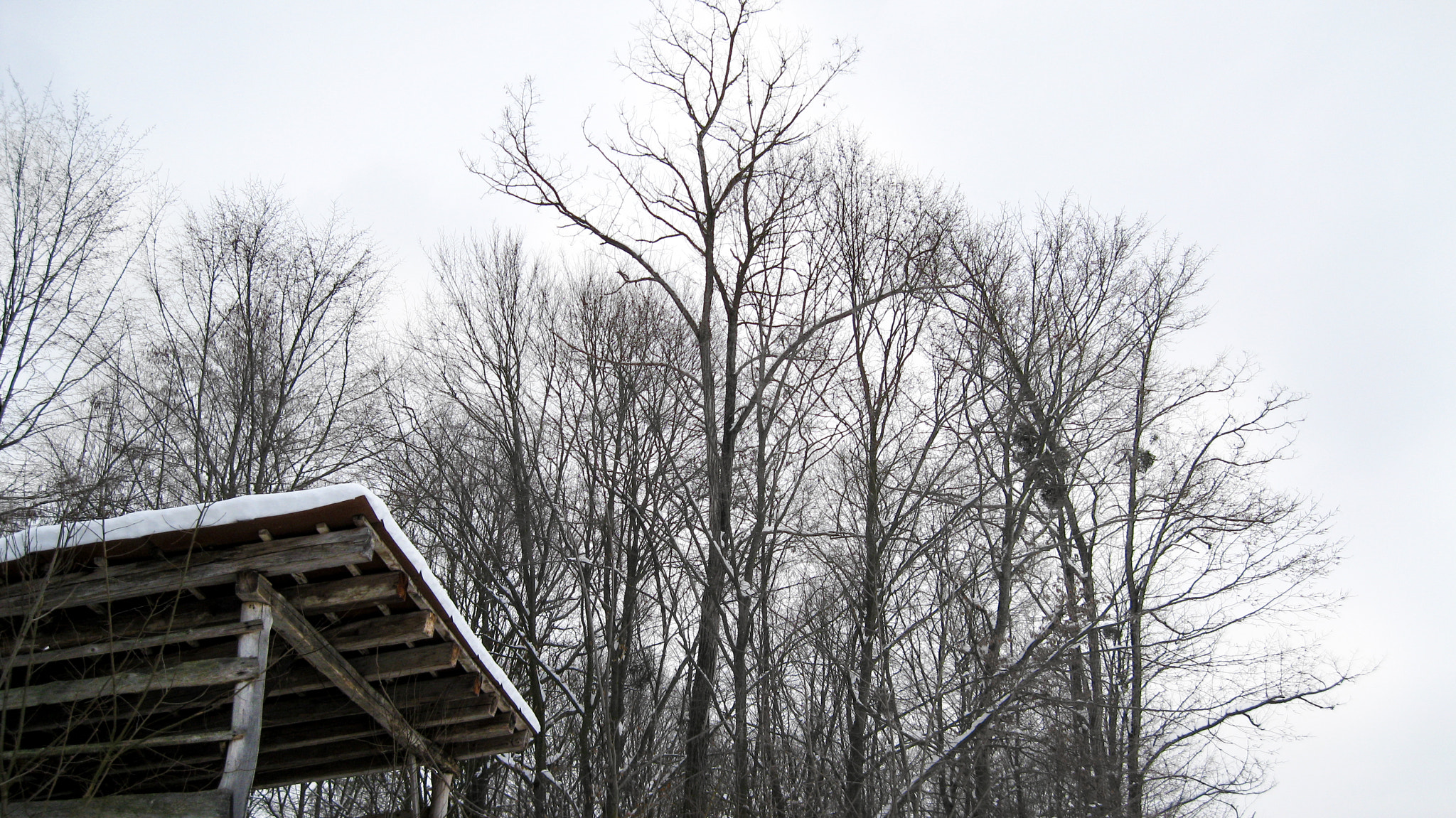 Canon PowerShot A3100 IS sample photo. Roof covered in snow photography