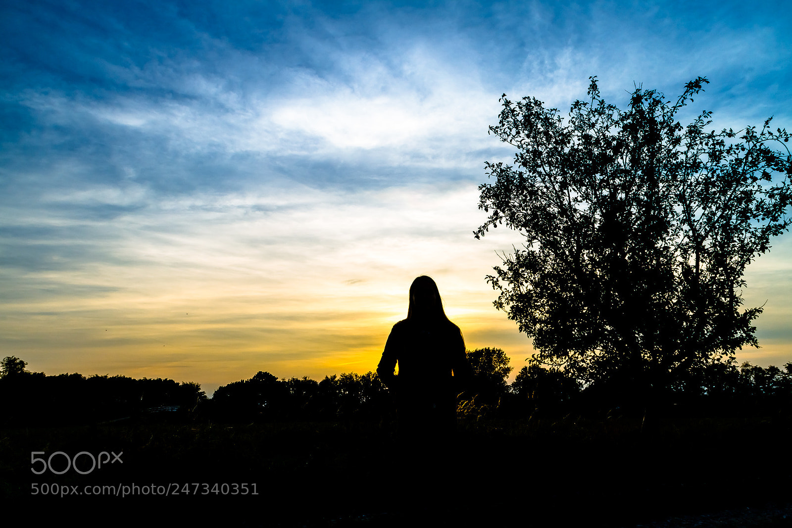 Canon EOS 7D sample photo. Silhouette photography