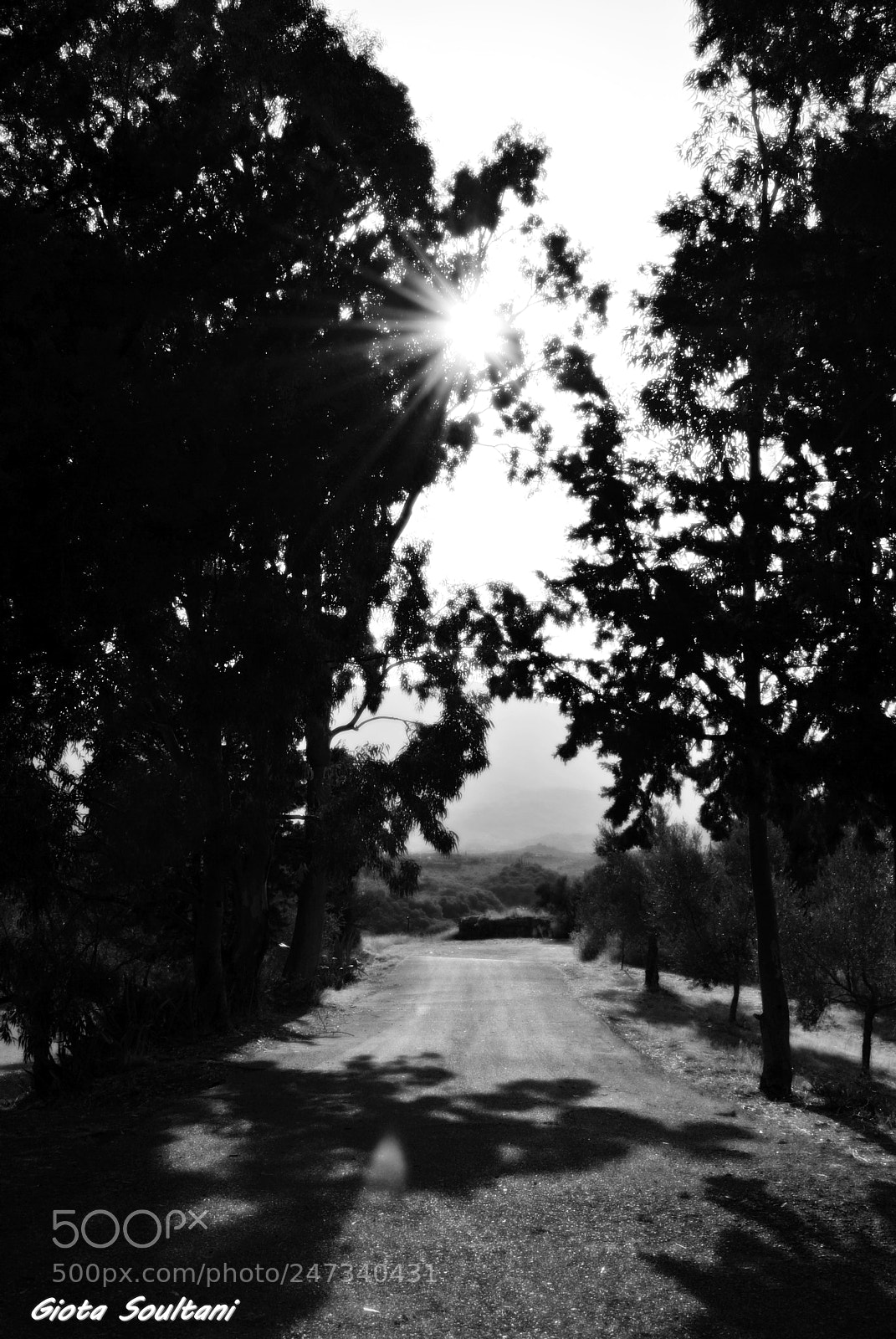 Nikon D3000 sample photo. Untitled photography