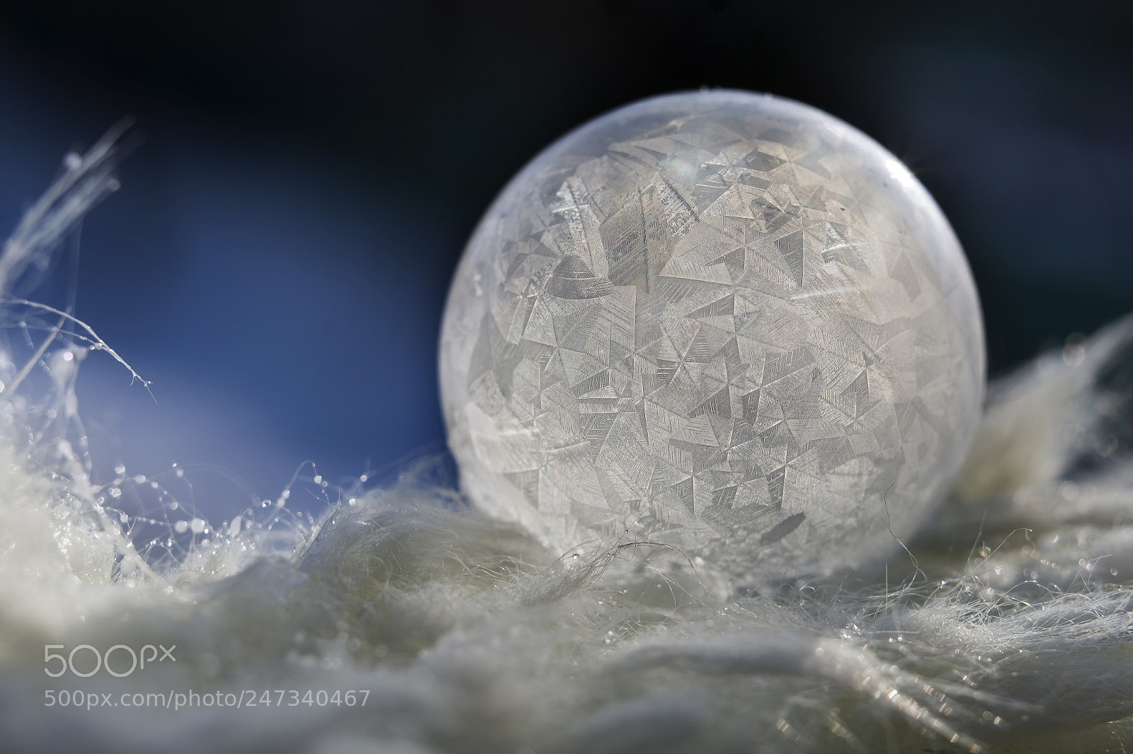 Nikon D7100 sample photo. Absolutely frozen photography
