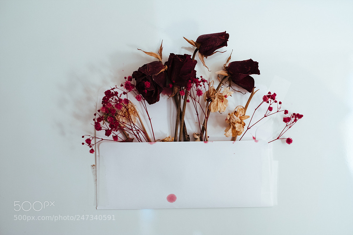 Fujifilm X-Pro2 sample photo. Dried... photography